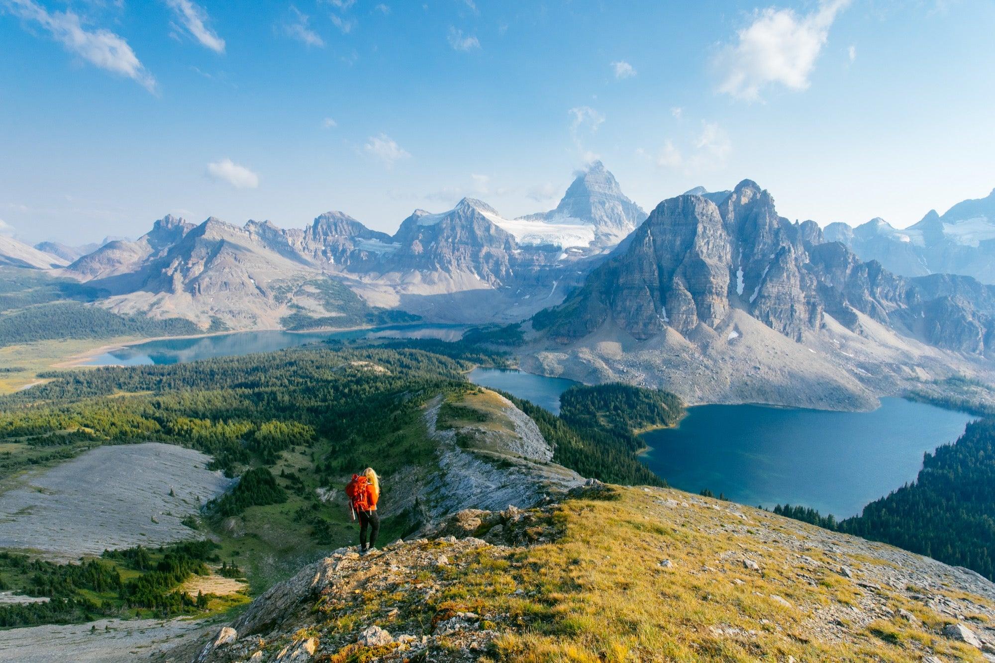 Adapting ‍to change: ⁣Embracing Adaptability in a ​Dynamic ‌Landscape